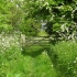 Bramble Field